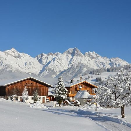 Biohof Ebengut Apart otel Maria Alm am Steinernen Meer Dış mekan fotoğraf