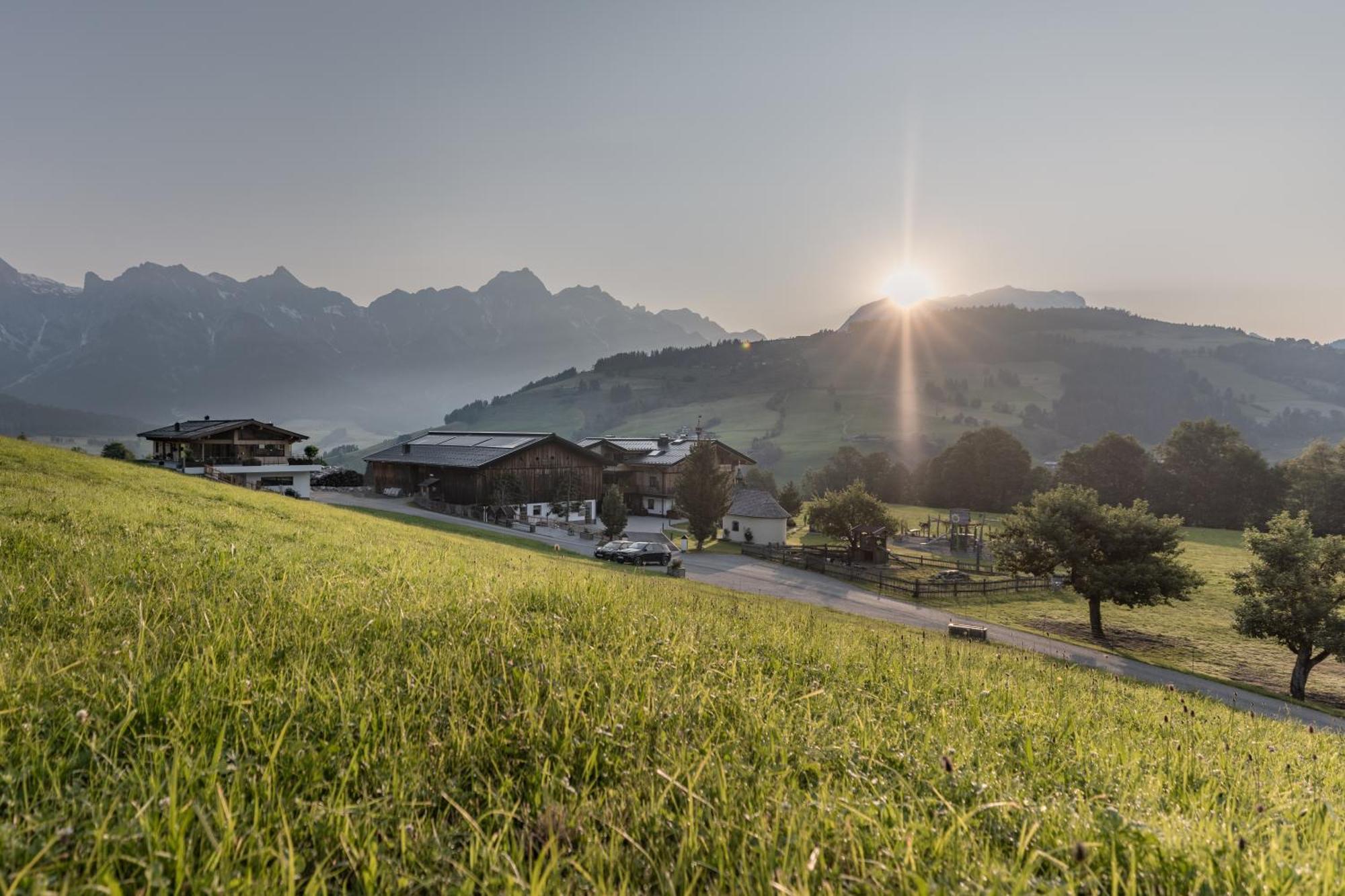 Biohof Ebengut Apart otel Maria Alm am Steinernen Meer Dış mekan fotoğraf