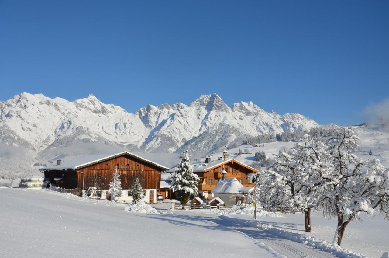 Biohof Ebengut Apart otel Maria Alm am Steinernen Meer Dış mekan fotoğraf